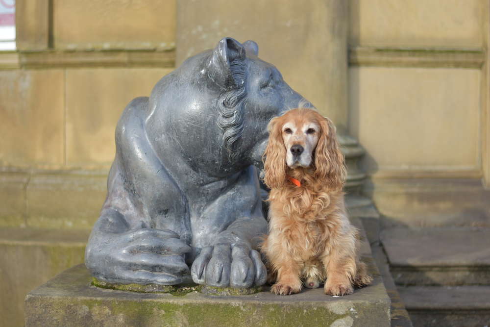 Day out at Heaton Park, Manchester 