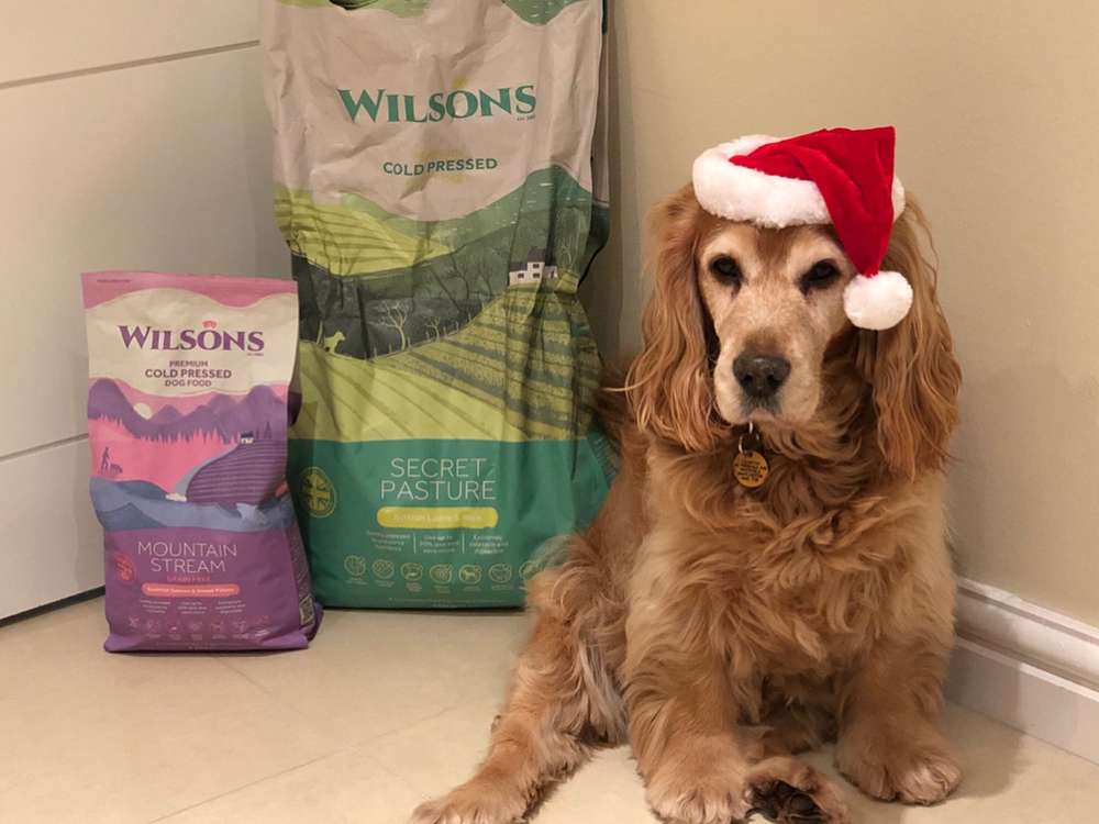 Wilsons Cold Pressed Dog Food